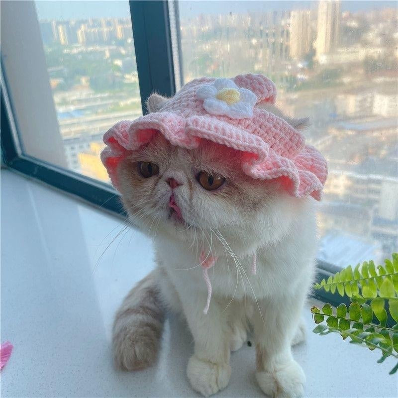 Mũ trùm đầu cho chó mèo Pet Hood