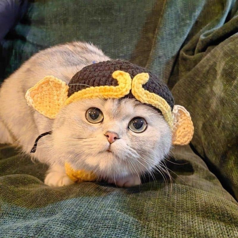 Mũ trùm đầu cho chó mèo Pet Hood