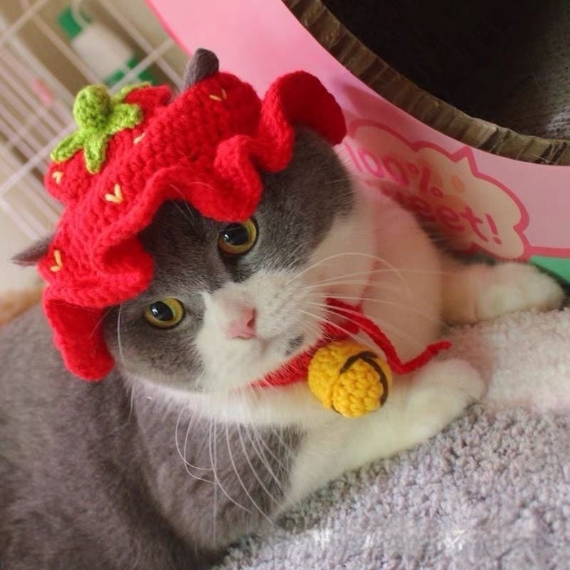 Mũ trùm đầu cho chó mèo Pet Hood