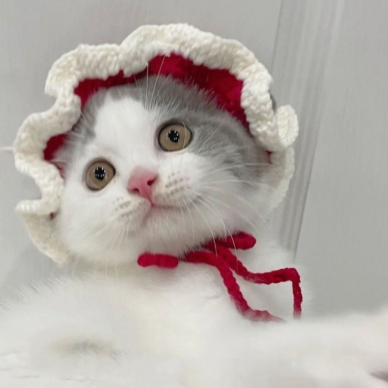 Mũ trùm đầu cho chó mèo Pet Hood