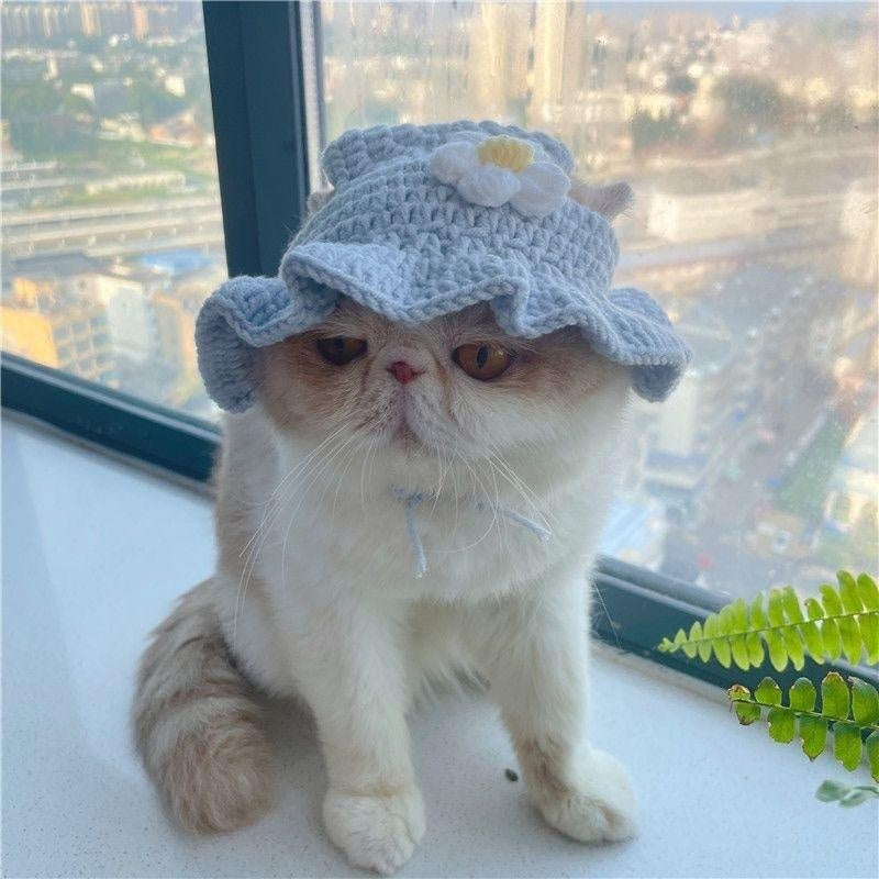 Mũ trùm đầu cho chó mèo Pet Hood