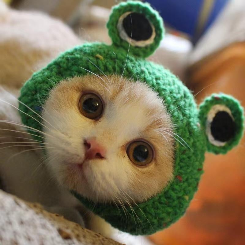 Mũ trùm đầu cho chó mèo Pet Hood
