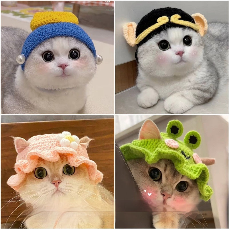 Mũ trùm đầu cho chó mèo Pet Hood