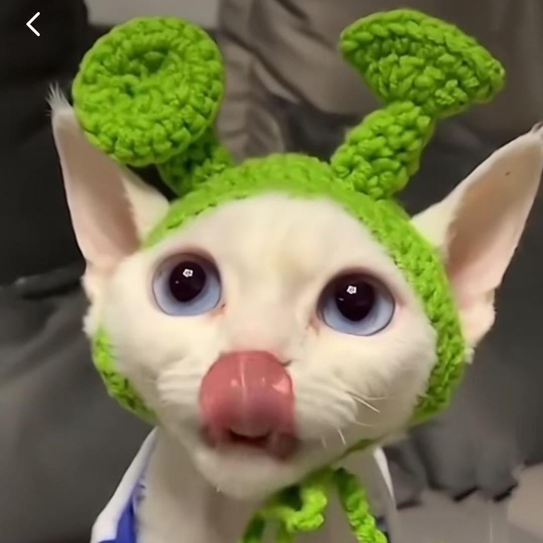 Mũ trùm đầu cho chó mèo Pet Hood