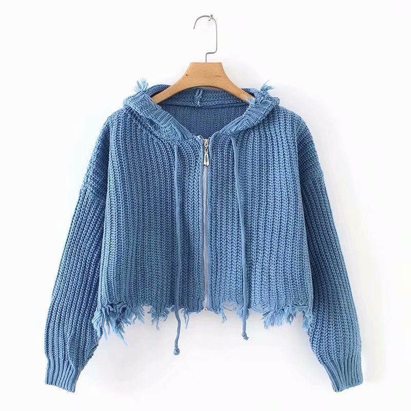Hooded Tassel Zipper Sweaters Coat
