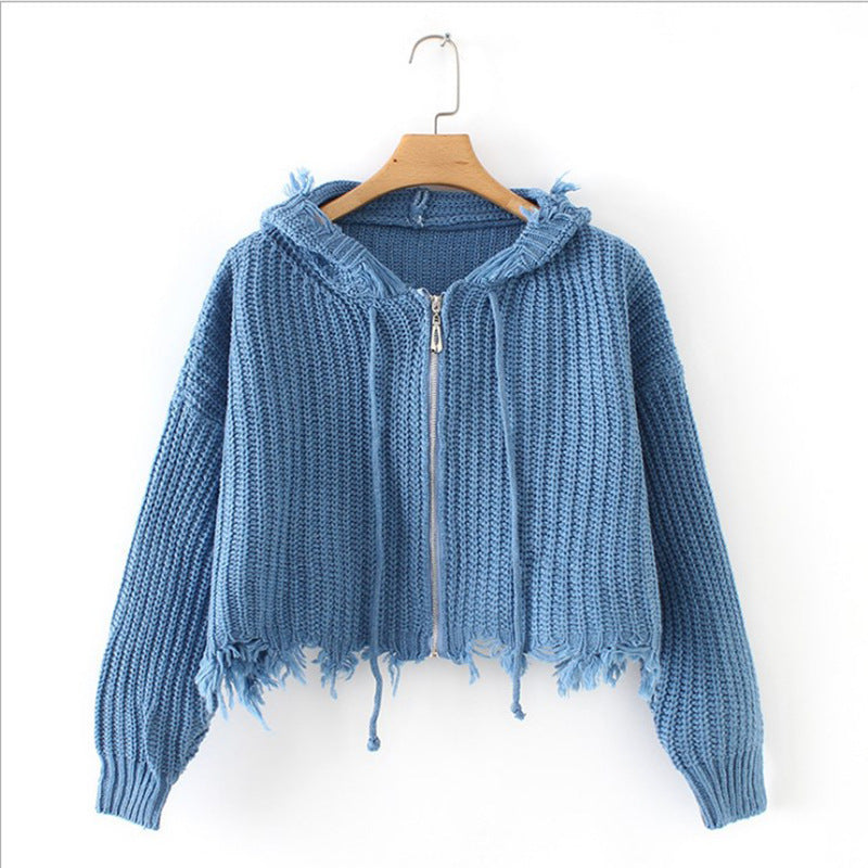 Hooded Tassel Zipper Sweaters Coat