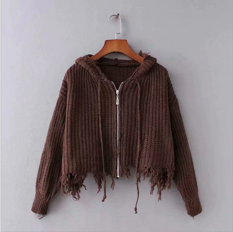 Hooded Tassel Zipper Sweaters Coat