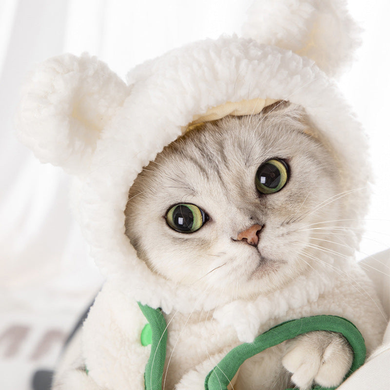 Cat Bear Fashion Dress Up Hat