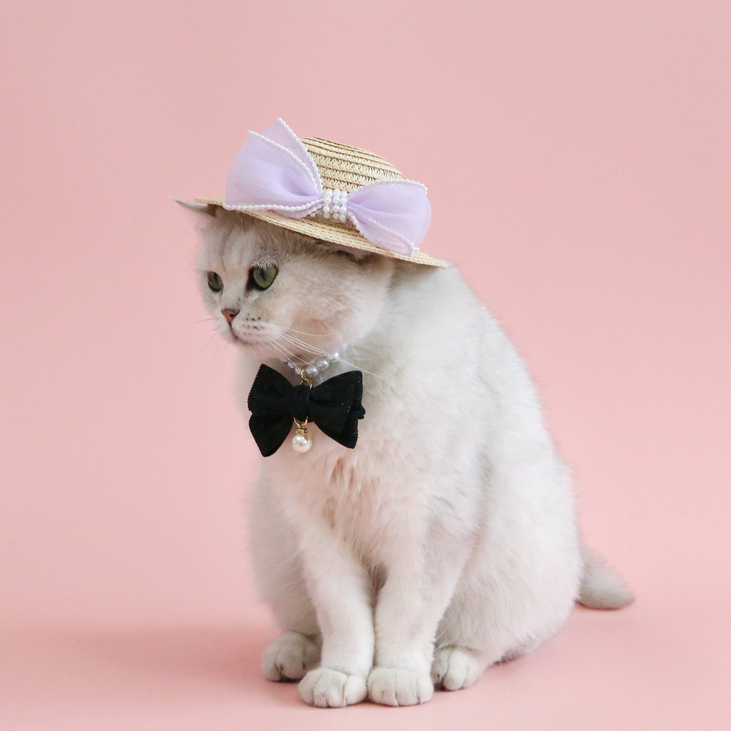 Pet Cat Lady Straw Hat Pearl Bow Woven