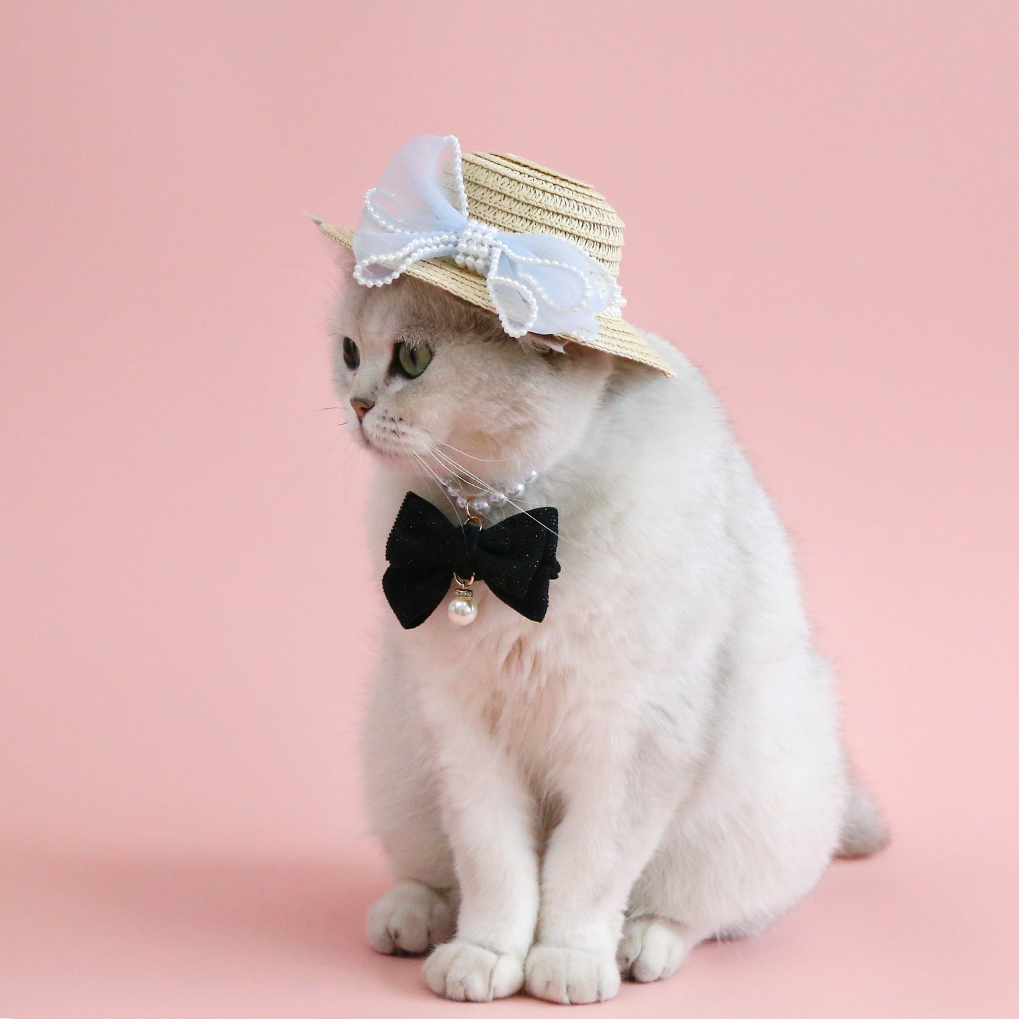 Pet Cat Lady Straw Hat Pearl Bow Woven