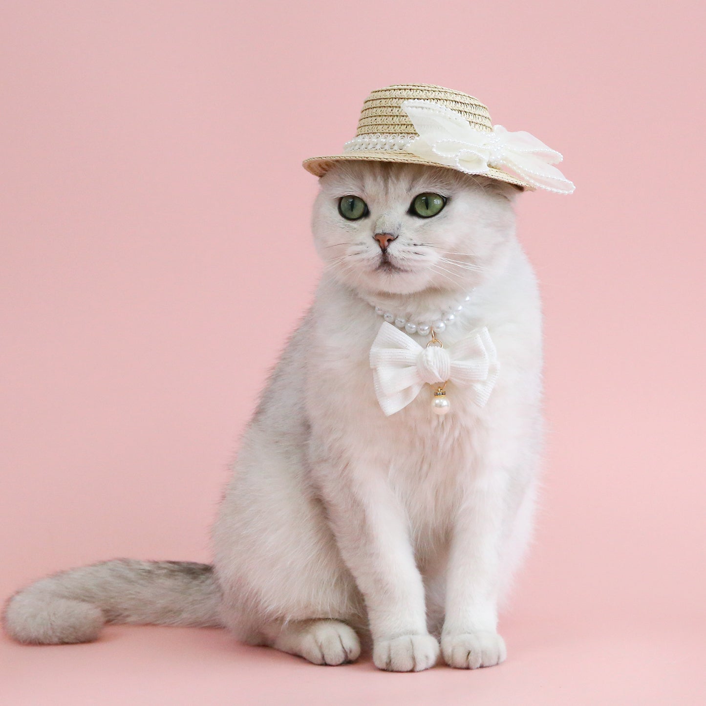 Pet Cat Lady Straw Hat Pearl Bow Woven